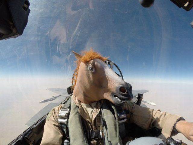 daily picdump 83 pics 42.html - 83 HD Photos | Premium Gallery 2016