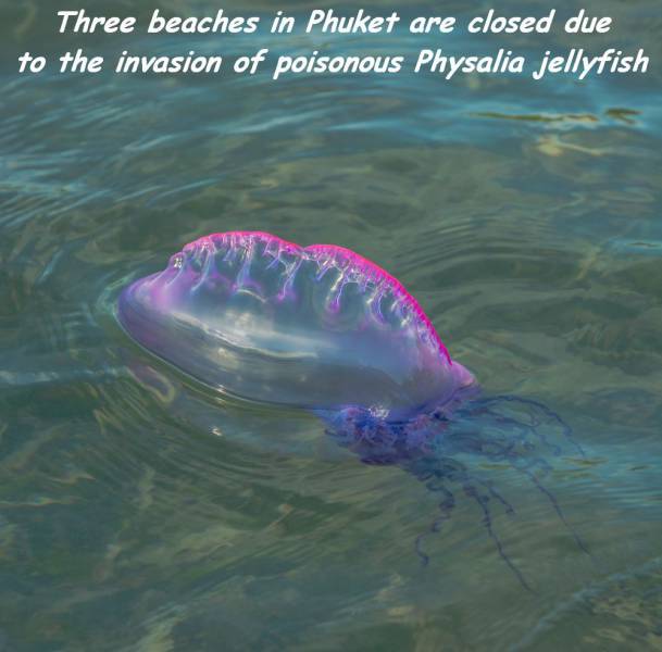 daily picdump 83 pics 42.html - 83 HD Photos | Premium Gallery 2016