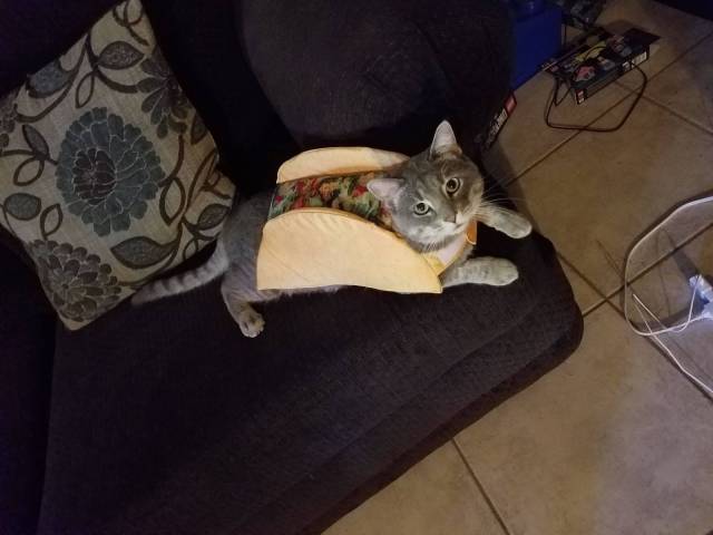 daily picdump 83 pics 42.html - 83 HD Photos | Premium Gallery 2016