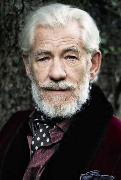 daily picdump 83 pics 42.html - 83 HD Photos | Premium Gallery 2016