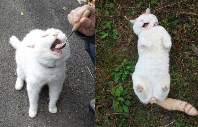 daily picdump 83 pics 42.html - 83 HD Photos | Premium Gallery 2016