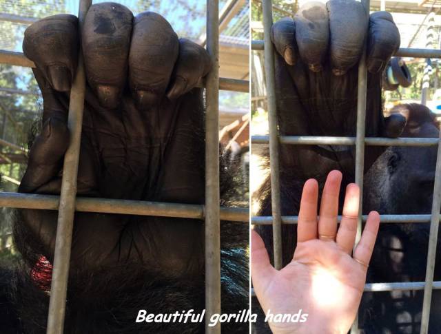 daily picdump 83 pics 42.html - 83 HD Photos | Premium Gallery 2016