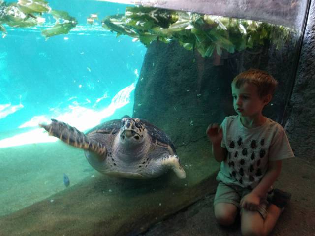 daily picdump 83 pics 42.html - 83 HD Photos | Premium Gallery 2016