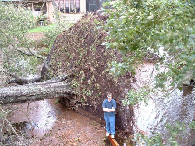 daily picdump 83 pics 42.html - 83 HD Photos | Premium Gallery 2016