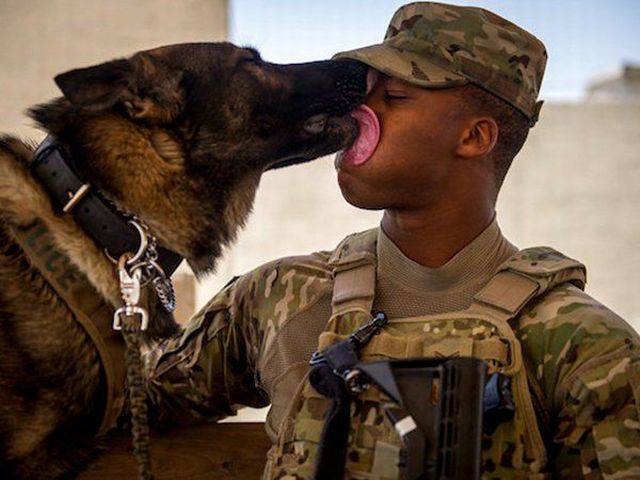 morning picdump 55 pics 3.html - 55 HD Photos | Premium Gallery 2016