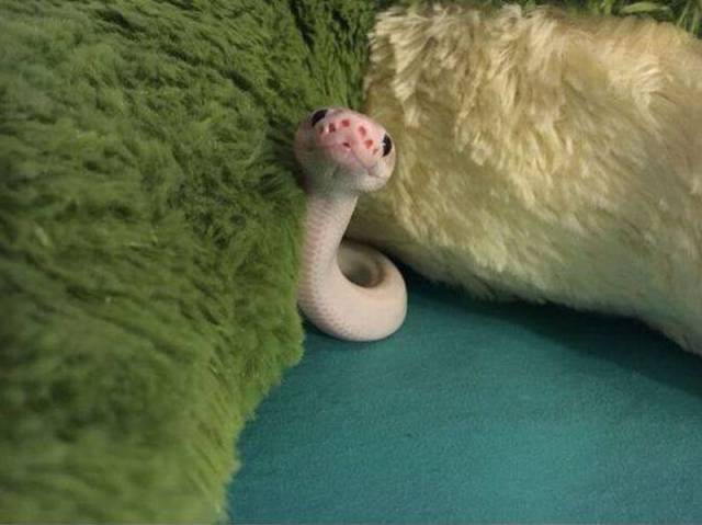 morning picdump 55 pics 3.html - 55 HD Photos | Premium Gallery 2016