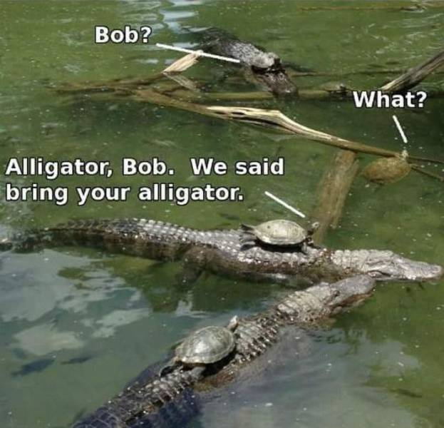 funny picdump 55 pics 14.html - 55 HD Photos | Premium Gallery 2016