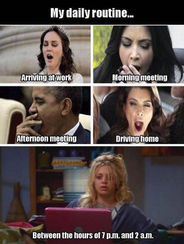 funny picdump 55 pics 14.html - 55 HD Photos | Premium Gallery 2016