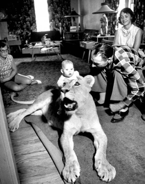 morning picdump 55 pics 8.html - 55 HD Photos | Premium Gallery 2016