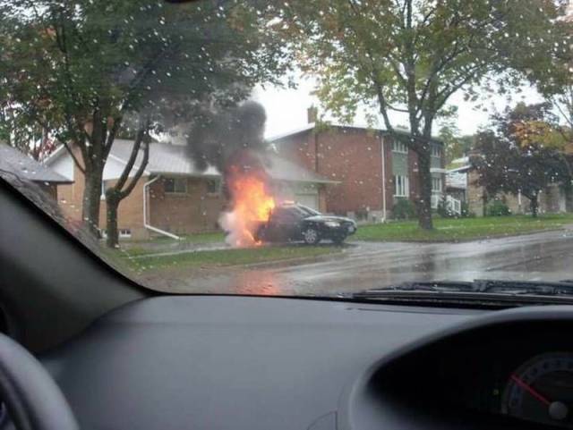 morning picdump 55 pics 8.html - 55 HD Photos | Premium Gallery 2016