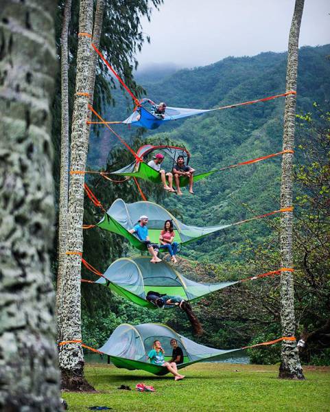 morning picdump 55 pics 8.html - 55 HD Photos | Premium Gallery 2016