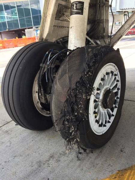 morning picdump 55 pics 8.html - 55 HD Photos | Premium Gallery 2016