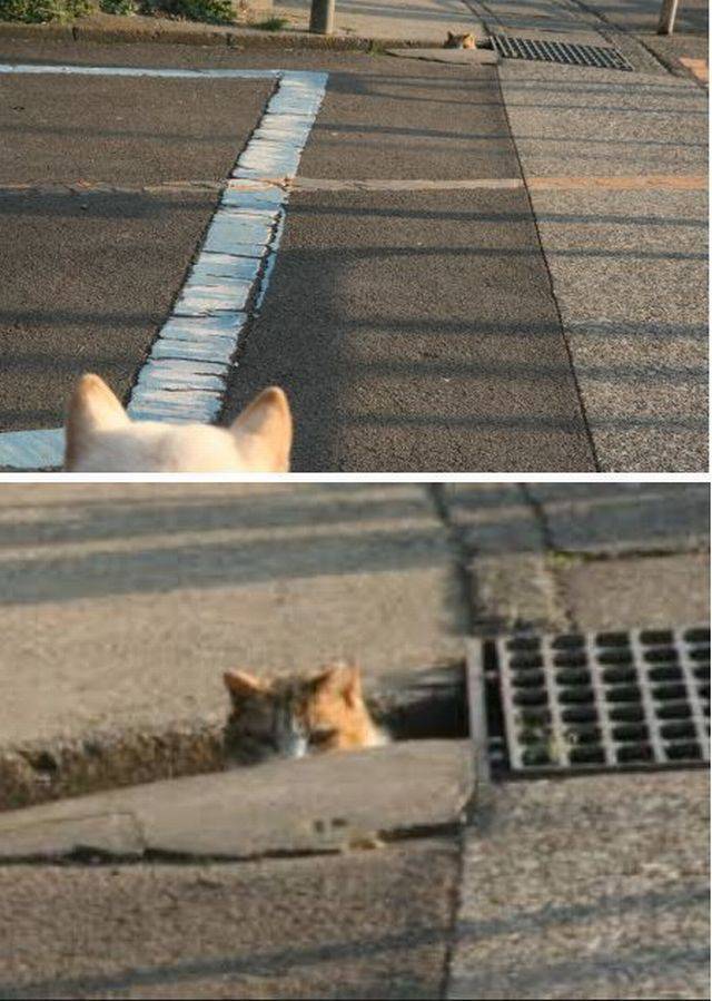 morning picdump 55 pics 8.html - 55 HD Photos | Premium Gallery 2016