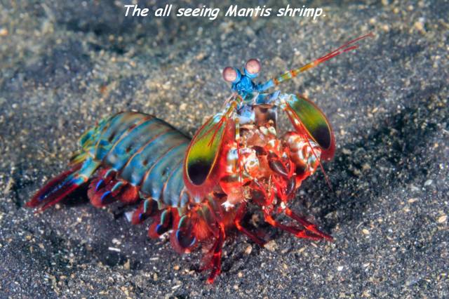 morning picdump 55 pics 8.html - 55 HD Photos | Premium Gallery 2016