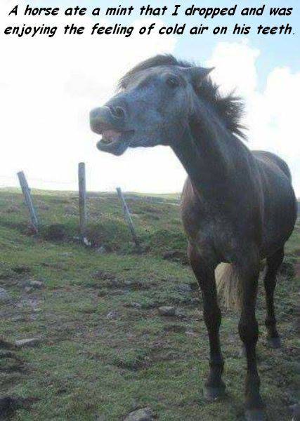 morning picdump 55 pics 8.html - 55 HD Photos | Premium Gallery 2016