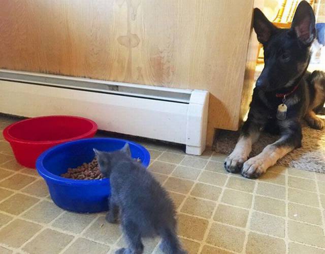 morning picdump 55 pics 8.html - 55 HD Photos | Premium Gallery 2016