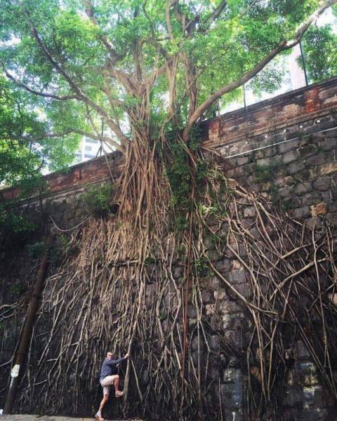 morning picdump 55 pics 8.html - 55 HD Photos | Premium Gallery 2016