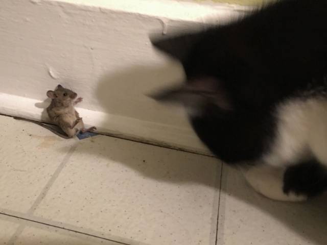 morning picdump 55 pics 8.html - 55 HD Photos | Premium Gallery 2016