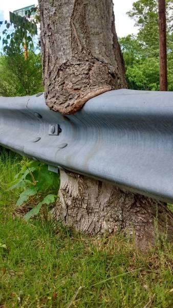 morning picdump 55 pics 8.html - 55 HD Photos | Premium Gallery 2016