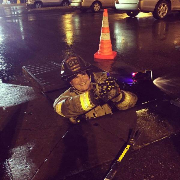 Daily Picdump [WEEKEND EDITION]