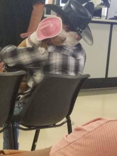 Daily Picdump [WEEKEND EDITION]