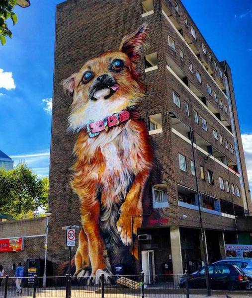 daily picdump weekend edition 75 pics 37.html - 75 HD Photos | Premium Gallery 2016