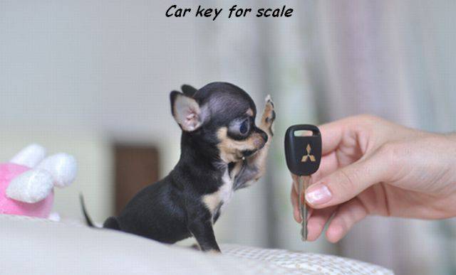 daily picdump weekend edition 75 pics 37.html - 75 HD Photos | Premium Gallery 2016