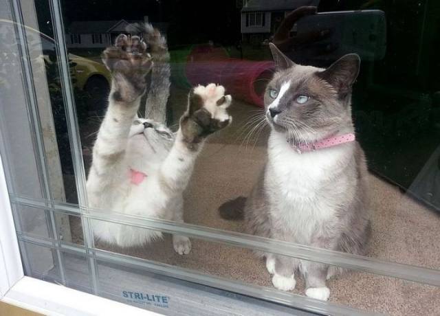 daily picdump 78 pics 7.html - 78 HD Photos | Premium Gallery 2016