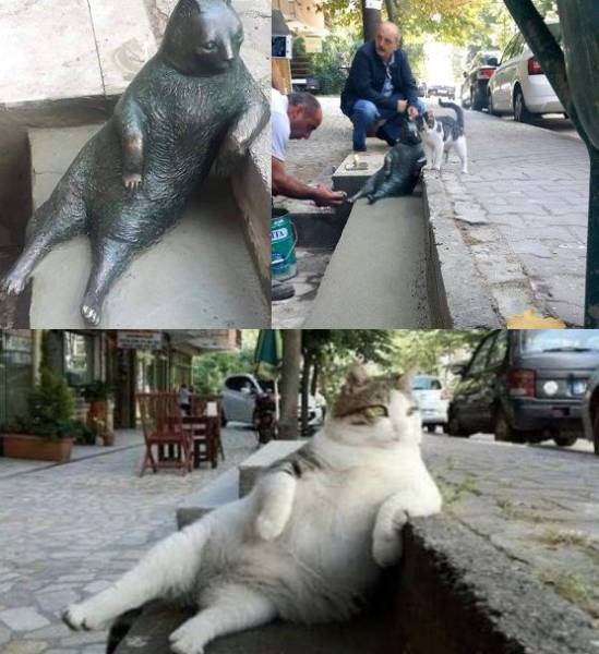 daily picdump 78 pics 7.html - 78 HD Photos | Premium Gallery 2016