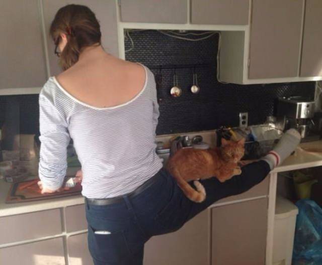 daily picdump 78 pics 7.html - 78 HD Photos | Premium Gallery 2016