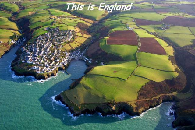 daily picdump 78 pics 7.html - 78 HD Photos | Premium Gallery 2016