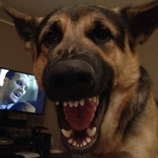 daily picdump 78 pics 7.html - 78 HD Photos | Premium Gallery 2016