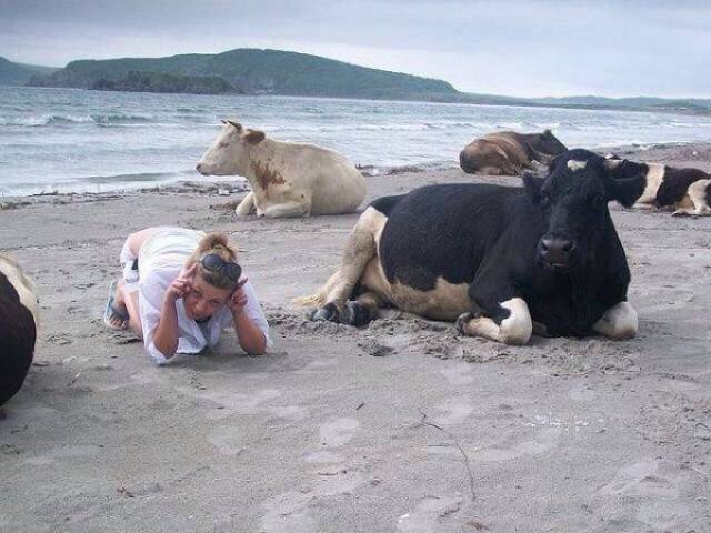 daily picdump 78 pics 7.html - 78 HD Photos | Premium Gallery 2016