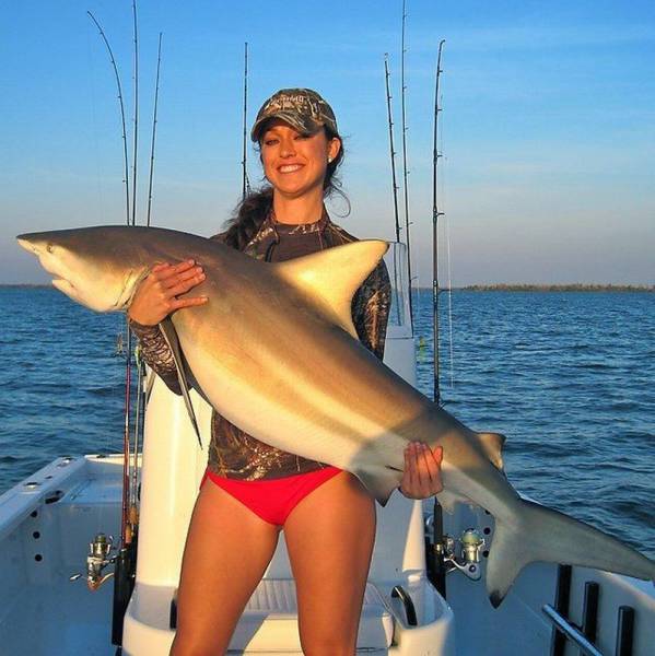 daily picdump 81 pics 4.html - 81 HD Photos | Premium Gallery 2016