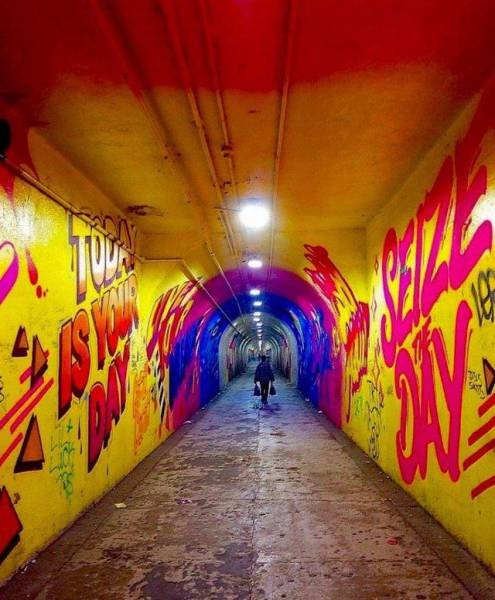 daily picdump 81 pics 4.html - 81 HD Photos | Premium Gallery 2016