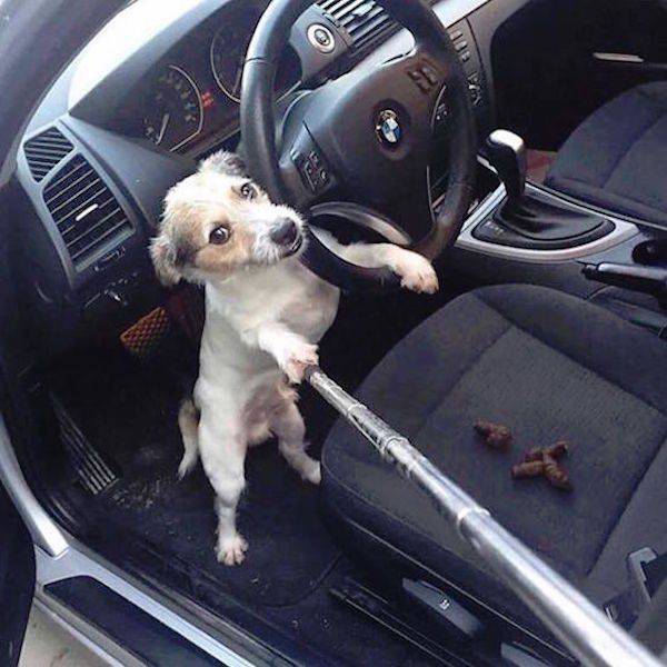 daily picdump 81 pics 4.html - 81 HD Photos | Premium Gallery 2016