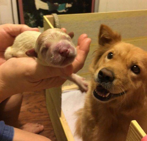 morning picdump 56 pics 5.html - 56 HD Photos | Premium Gallery 2016