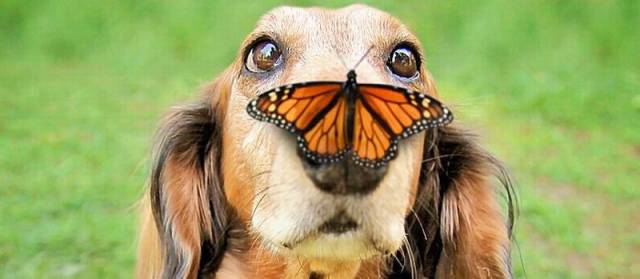 morning picdump 56 pics 5.html - 56 HD Photos | Premium Gallery 2016