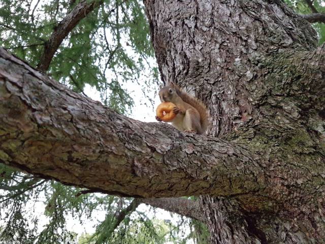 morning picdump 56 pics 5.html - 56 HD Photos | Premium Gallery 2016