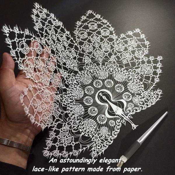 morning picdump 54 pics 8.html - 54 HD Photos | Premium Gallery 2016