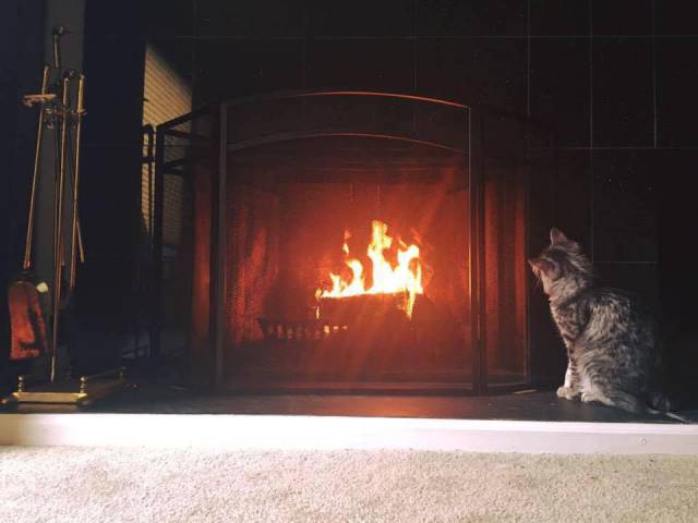 morning picdump 54 pics 8.html - 54 HD Photos | Premium Gallery 2016