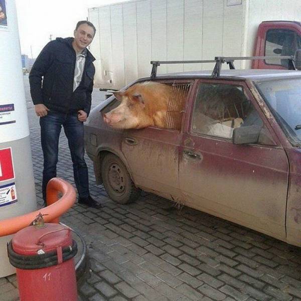 morning picdump 54 pics 8.html - 54 HD Photos | Premium Gallery 2016