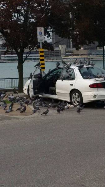 daily picdump 90 pics 7.html - 90 HD Photos | Premium Gallery 2016