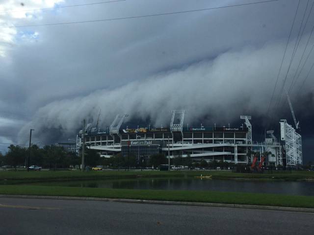 daily picdump 90 pics 7.html - 90 HD Photos | Premium Gallery 2016