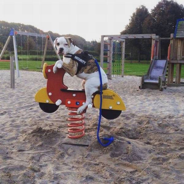 daily picdump 90 pics 7.html - 90 HD Photos | Premium Gallery 2016