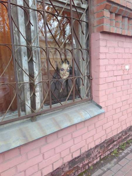 daily picdump 90 pics 7.html - 90 HD Photos | Premium Gallery 2016