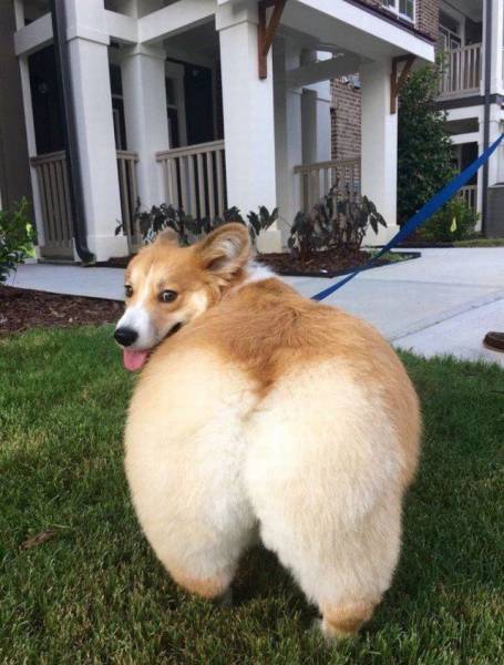 daily picdump 90 pics 7.html - 90 HD Photos | Premium Gallery 2016