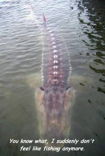 daily picdump 90 pics 7.html - 90 HD Photos | Premium Gallery 2016