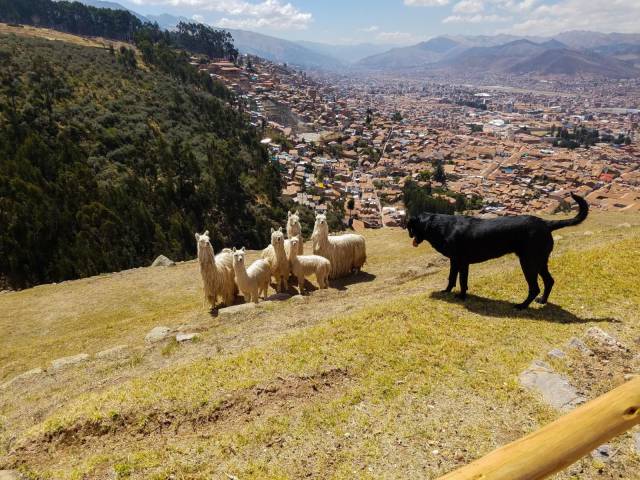 daily picdump 90 pics 7.html - 90 HD Photos | Premium Gallery 2016