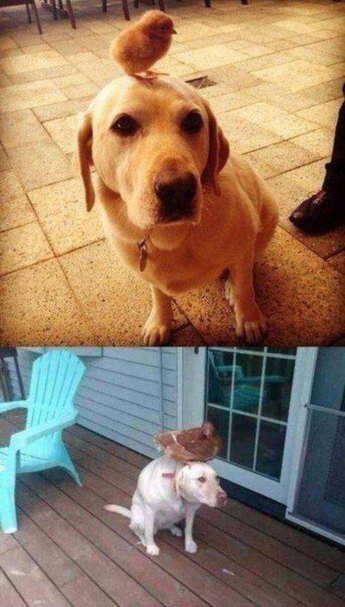 daily picdump 90 pics 7.html - 90 HD Photos | Premium Gallery 2016